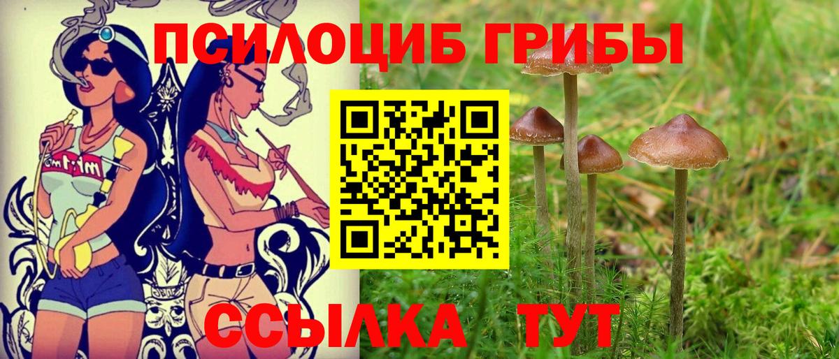 Псилоцибиновые грибы ЛСД Калининград