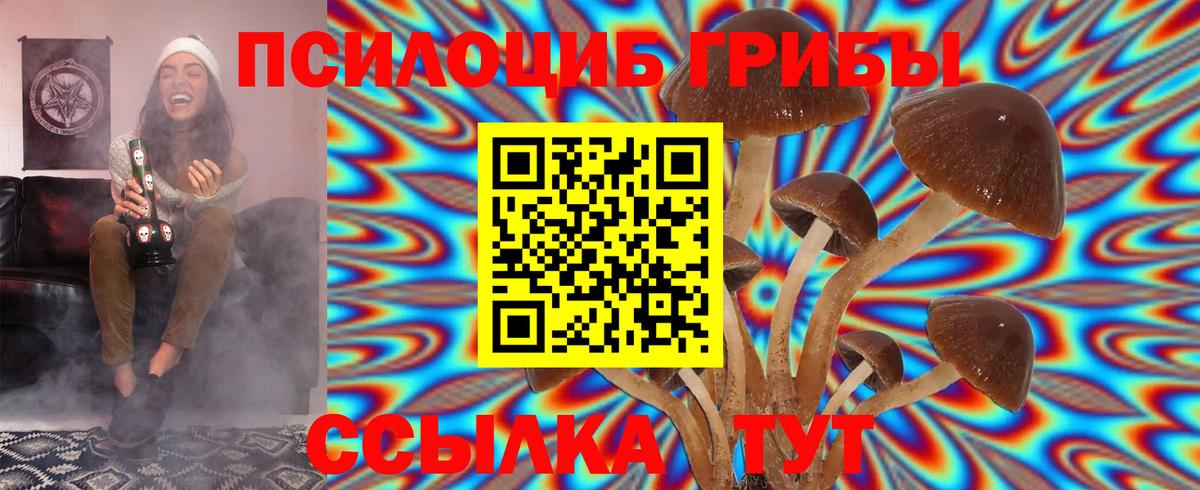 Галлюциногенные грибы мицелий  Галлюциногенные грибы MAGIC MUSHROOMS  Вход с VPN  Калининград 